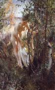 Anders Zorn Unknow work 88 Sweden oil painting artist